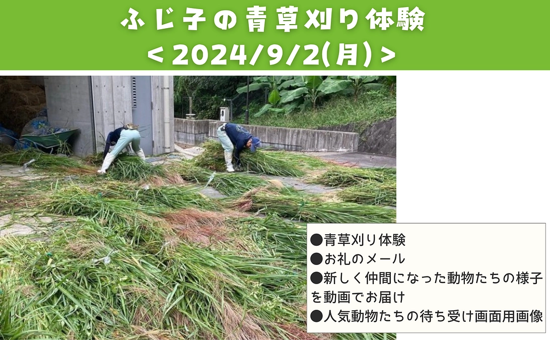 【活動報告㉛】【リターン紹介】現地限定｜ふじ子の青草刈り体験＜2024/9/2（月）＞