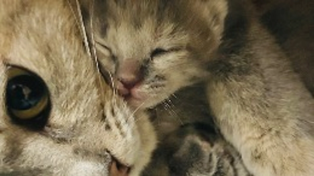 目が開きました！！