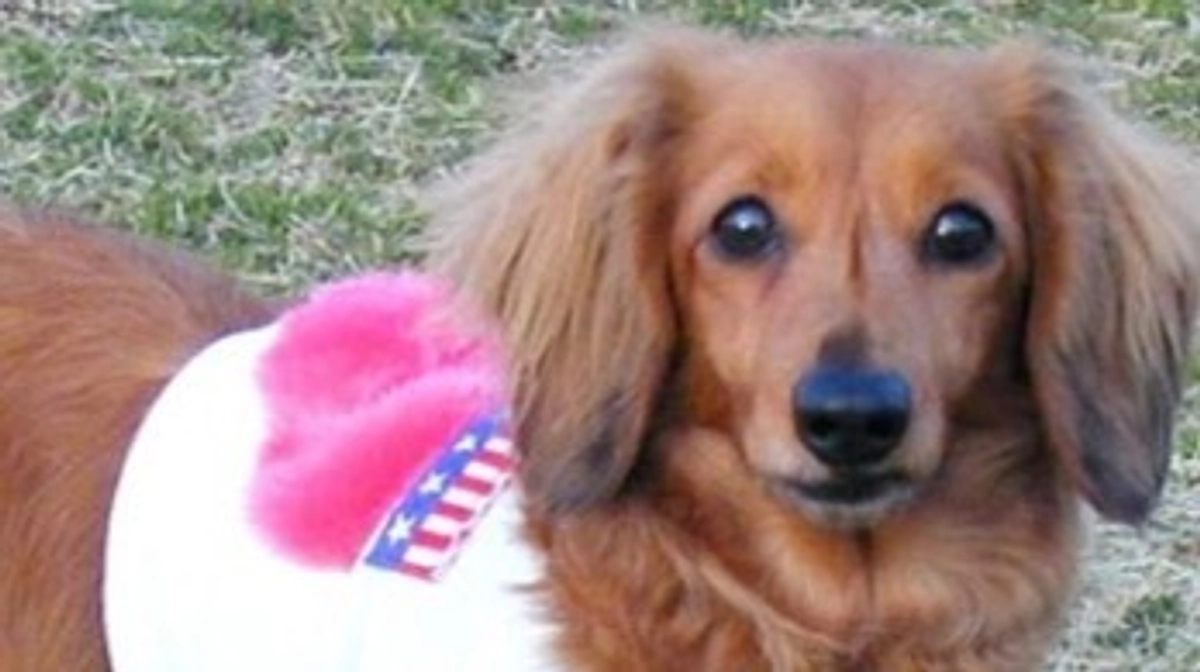 【ご報告と新たな挑戦】残り2日で1000万円達成！デュッカの力を借りてサードゴール1300万円へ！！