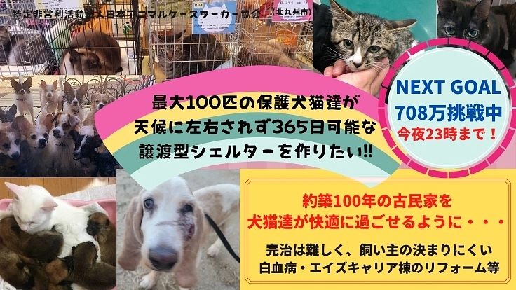 最大100匹の保護犬猫達が天候に左右されない譲渡型シェルターを作る