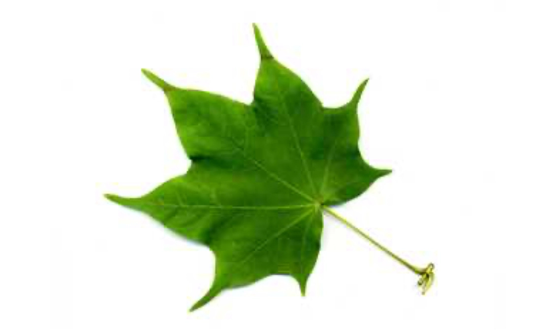 【重要なお知らせ】GAGNONショップクーポンリターンを含むご支援を頂いた方へ