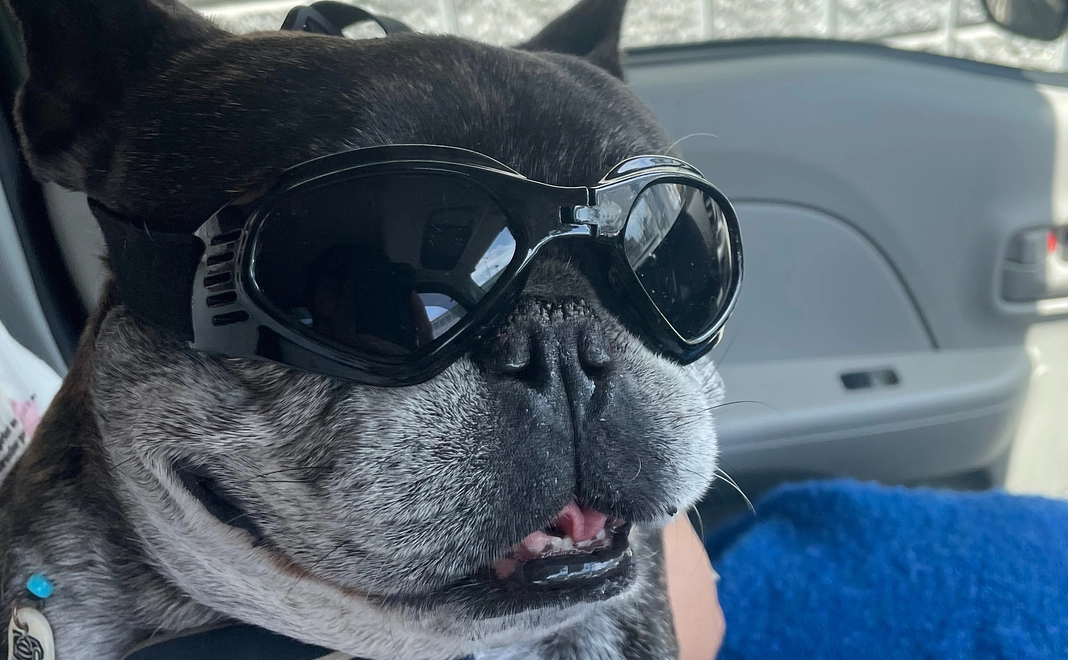 びあくんから感謝のメール2