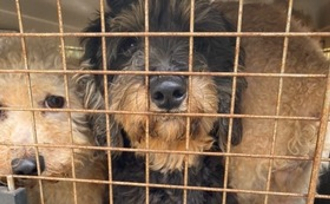 A：5千円コース