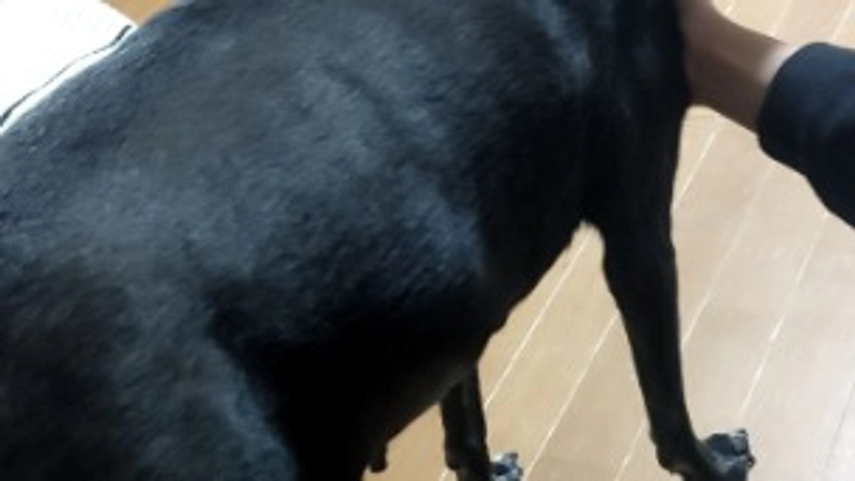 再手術が必要になってしまいました