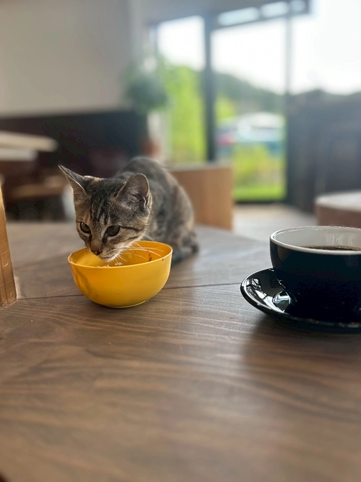 2025.9月の活動報告