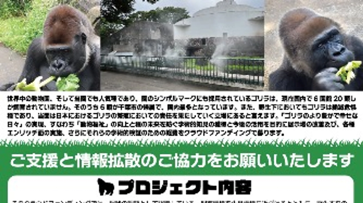 【プロジェクト内容のご紹介】ご支援で実現できることpart２