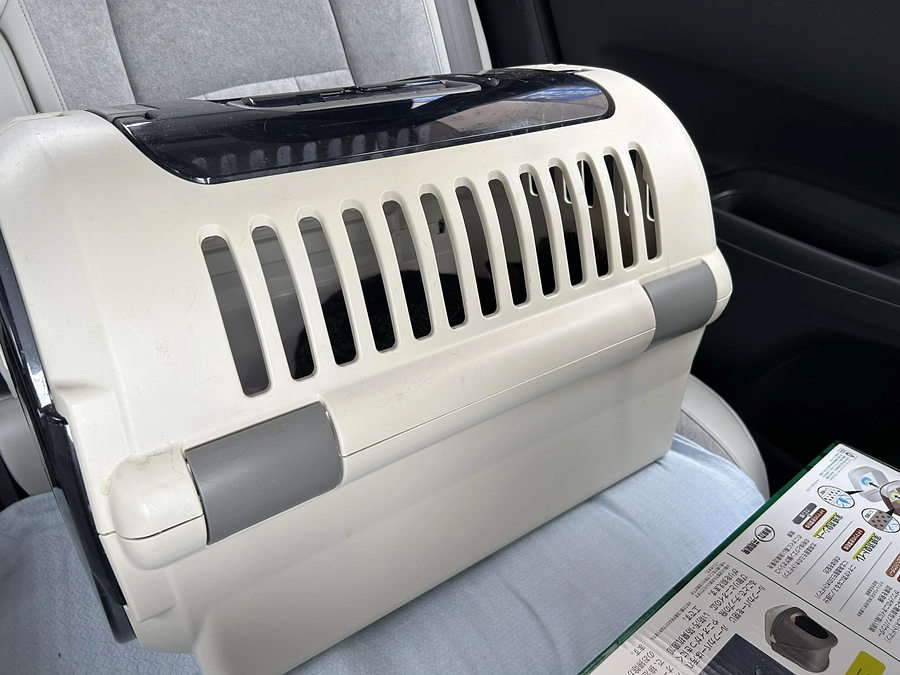 ボンドくん再手術になりました🏥