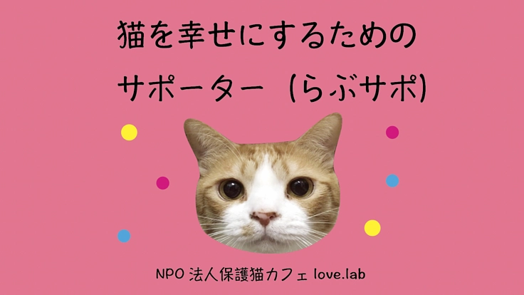 多くの猫を幸せにするためのご支援を〜（マンスリーらぶサポ）