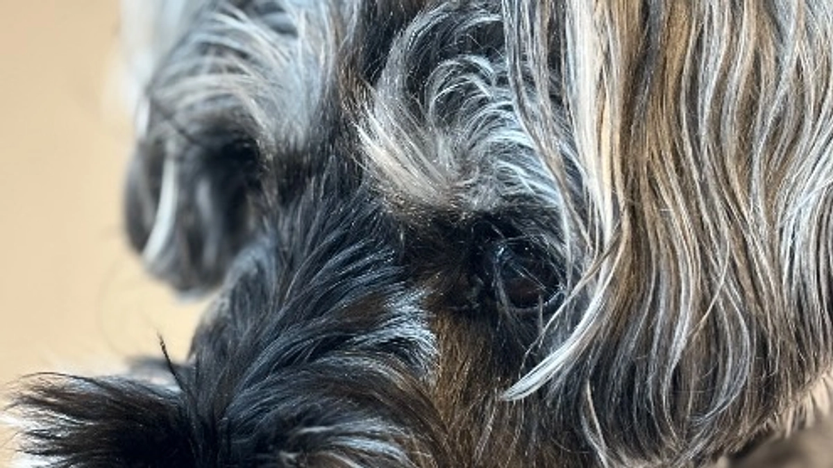 今後の活動について