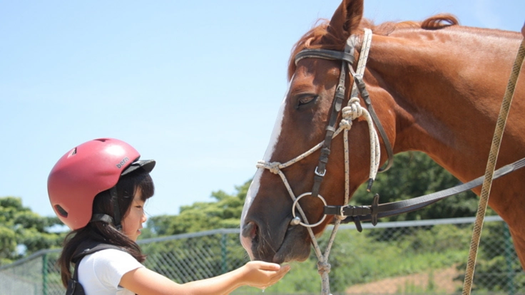 空山ポニー牧場｜馬と子どもたちのための井戸掘りへの挑戦にご支援を！