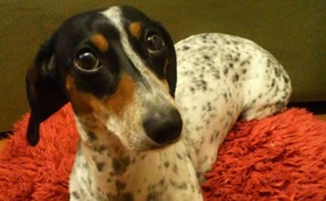 ご支援よろしお願い致します　２