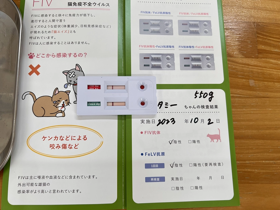 タミーのその後とセンター引き出し