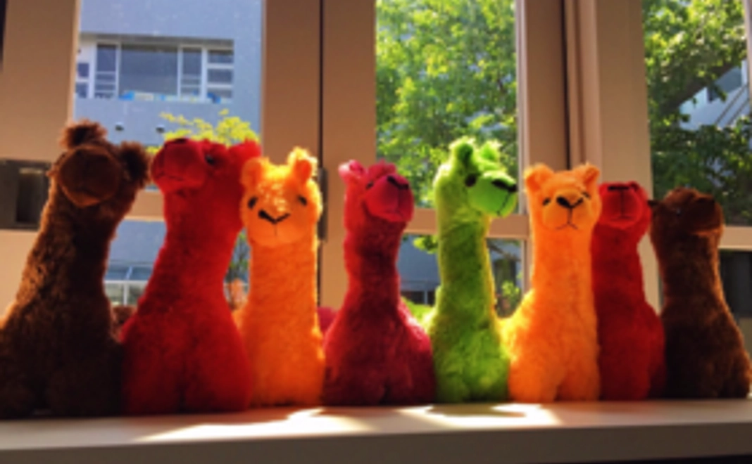 感謝の気持ちを込めたサンクスメール