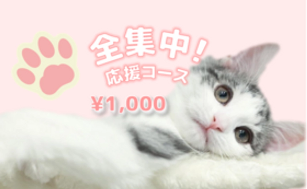 全集中！エルサ応援コース＊1000