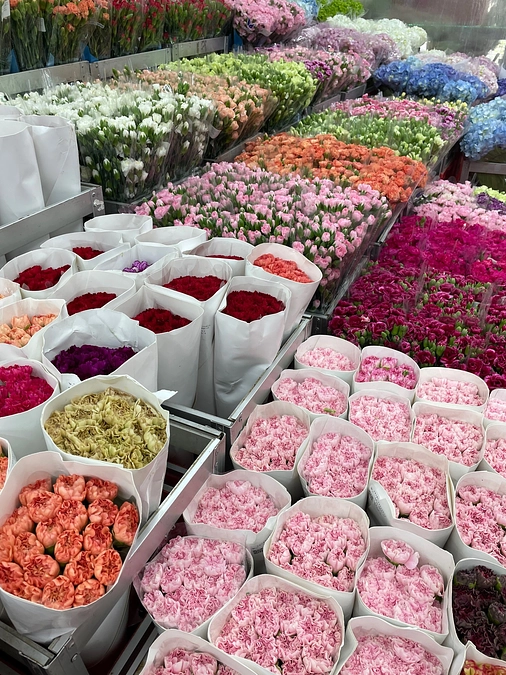 自分で自分を大切にしているなって思える時って、あなたにとって何してる時？