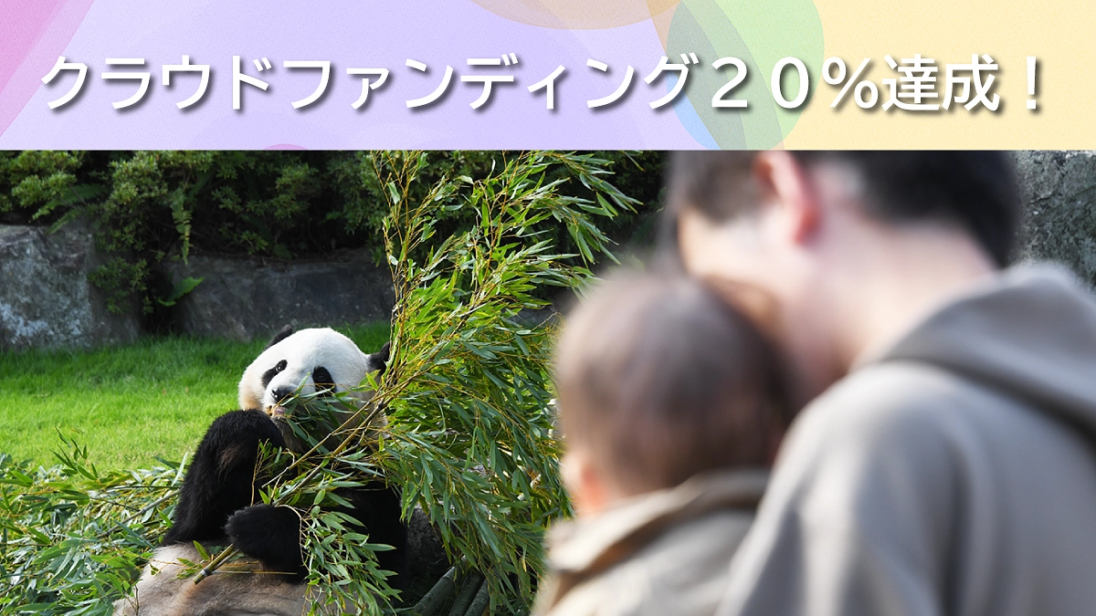 見やすさ、読みやすさへの配慮 特設サイトがリニューアル！