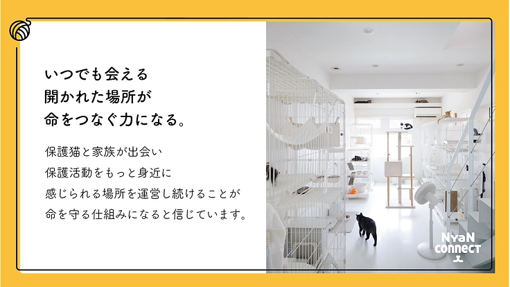 保護猫カフェ開業へ。誰にも気にかけてもらえない命を0に! 6枚目