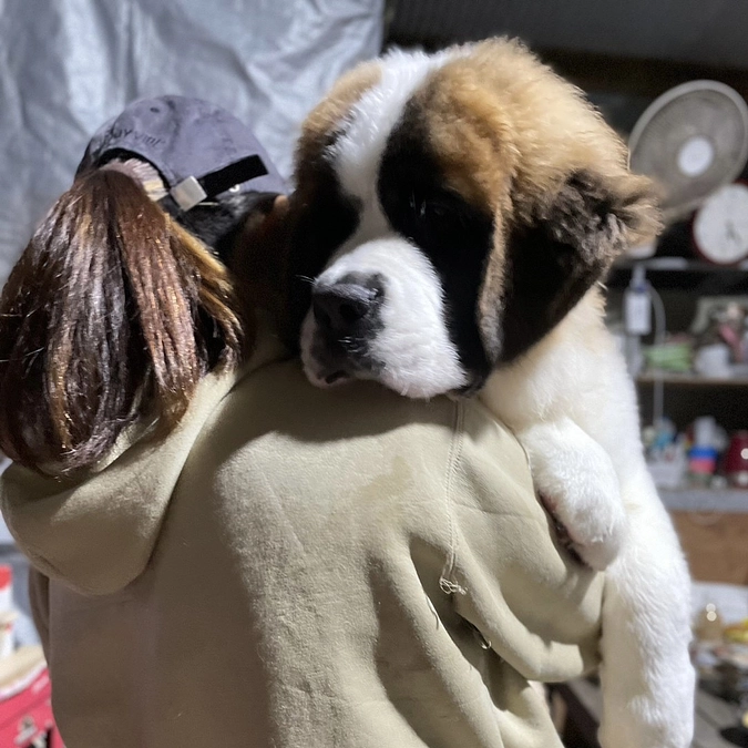 動画でみるおっぽの会〜ボランティアまさこ編〜