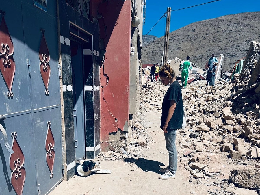 【モロッコ地震】「もうひとりぼっちじゃない」被災犬タラのものがたり