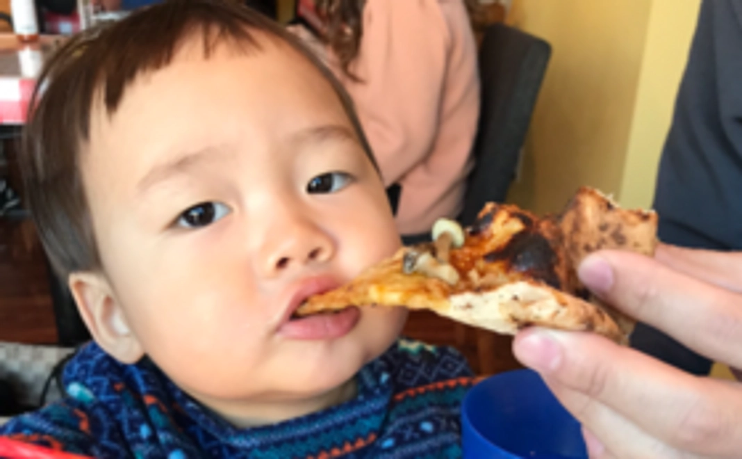 プロジェクト全力応援コース