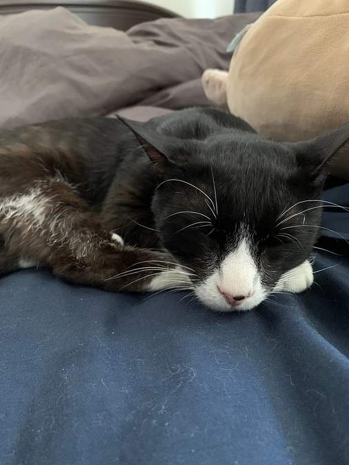 とろろの応援本当にありがとうございました！