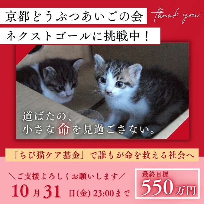 【感謝！】支援者222人！目標金300万円を達成できました！！ネクストゴール550万円を目指します！