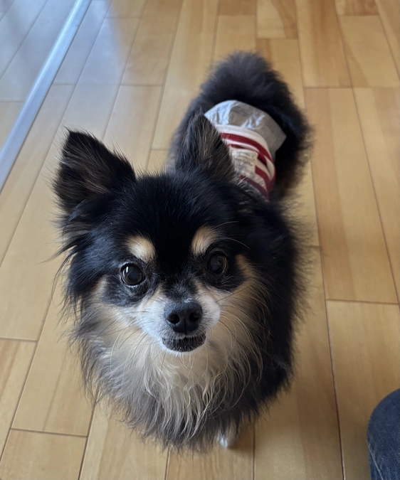 事前検査からの入院