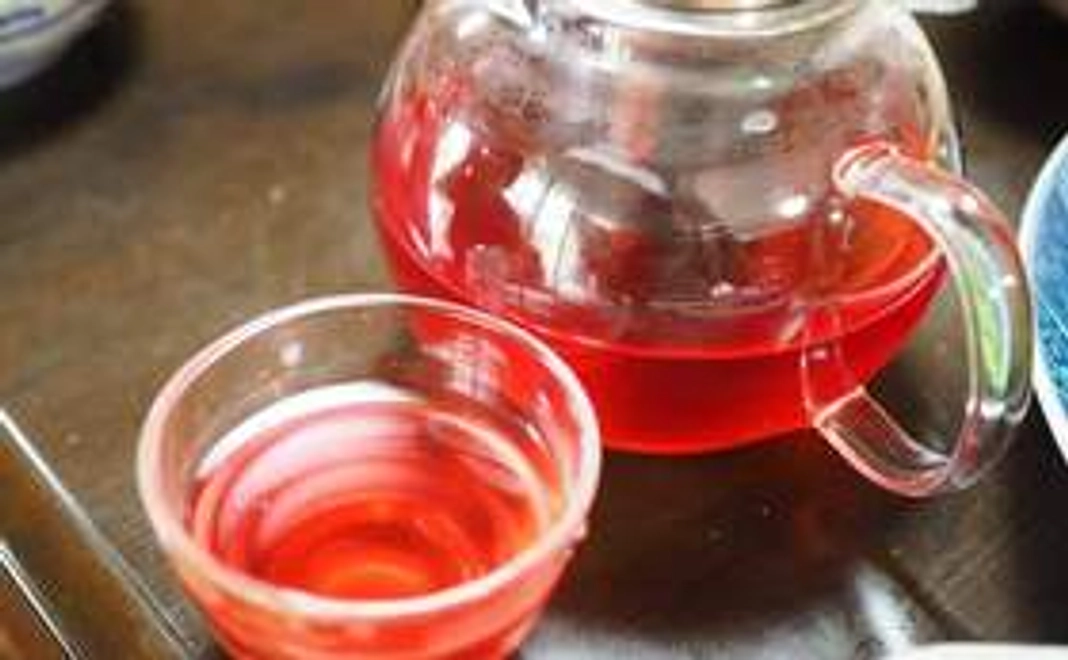 感謝メール・活動報告+農園t特製オリジナルハーブティー