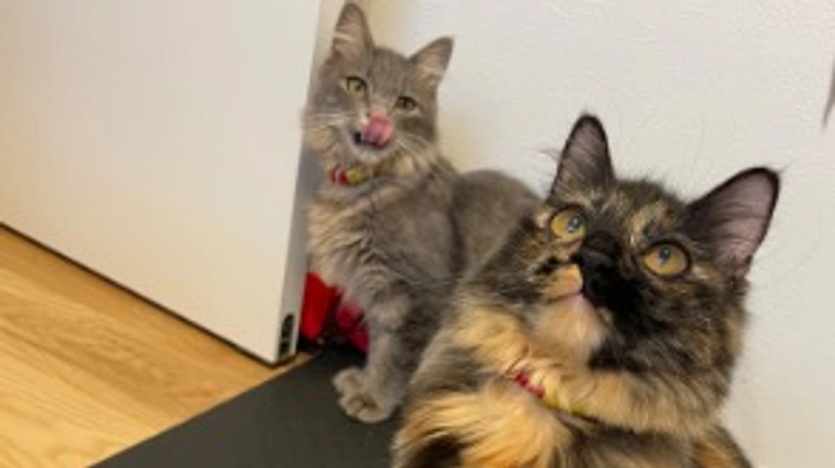 経過観察もう少しで1ヶ月！