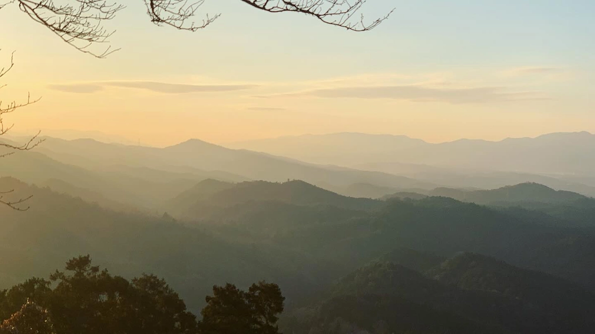 卯は龍となり天に駆け昇る