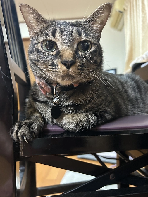 ８月に入りましたね。