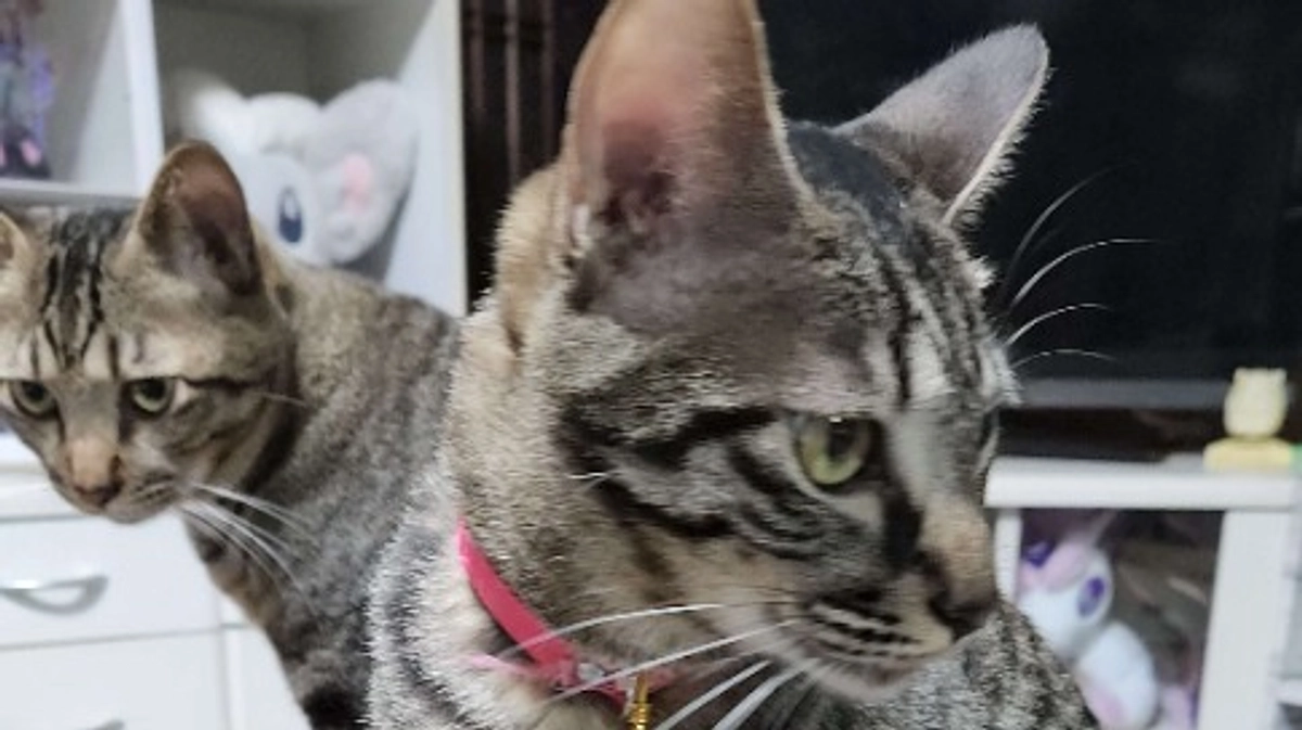 クラウドファンディング終了まで残り２時間半⏰