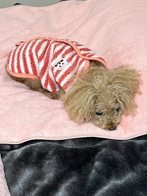 退院後の通院検査です