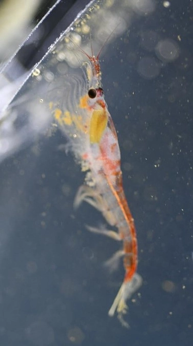  2024年１月26日「夏が来た！」