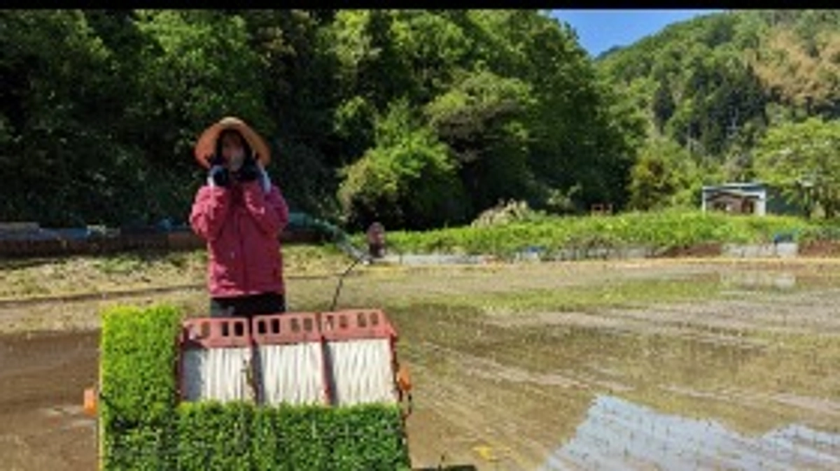 【生産者さまの紹介①】美味しいお米で安心安全を♡