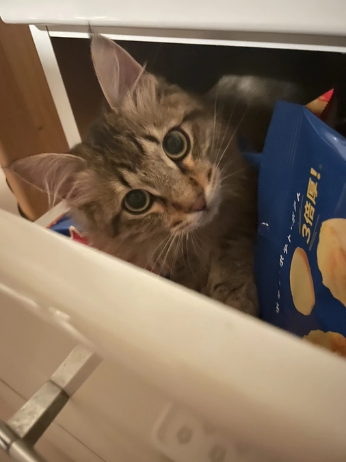 心からの感謝と、経過観察7日目のちゃむ