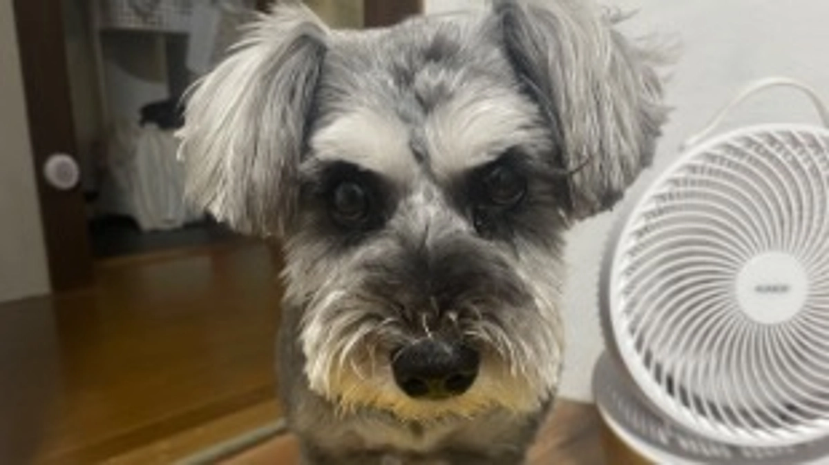 来週2回目の手術前検査です！