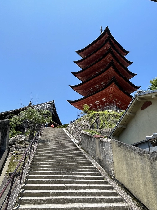 ボタニカルアーティストの京都桜紀行～平安京と厳島神社2