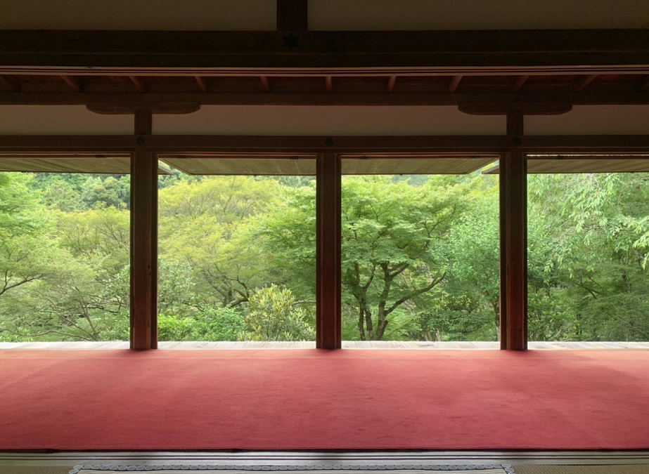 【残り10日】支援者900名、支援金額1500万円を超えました。