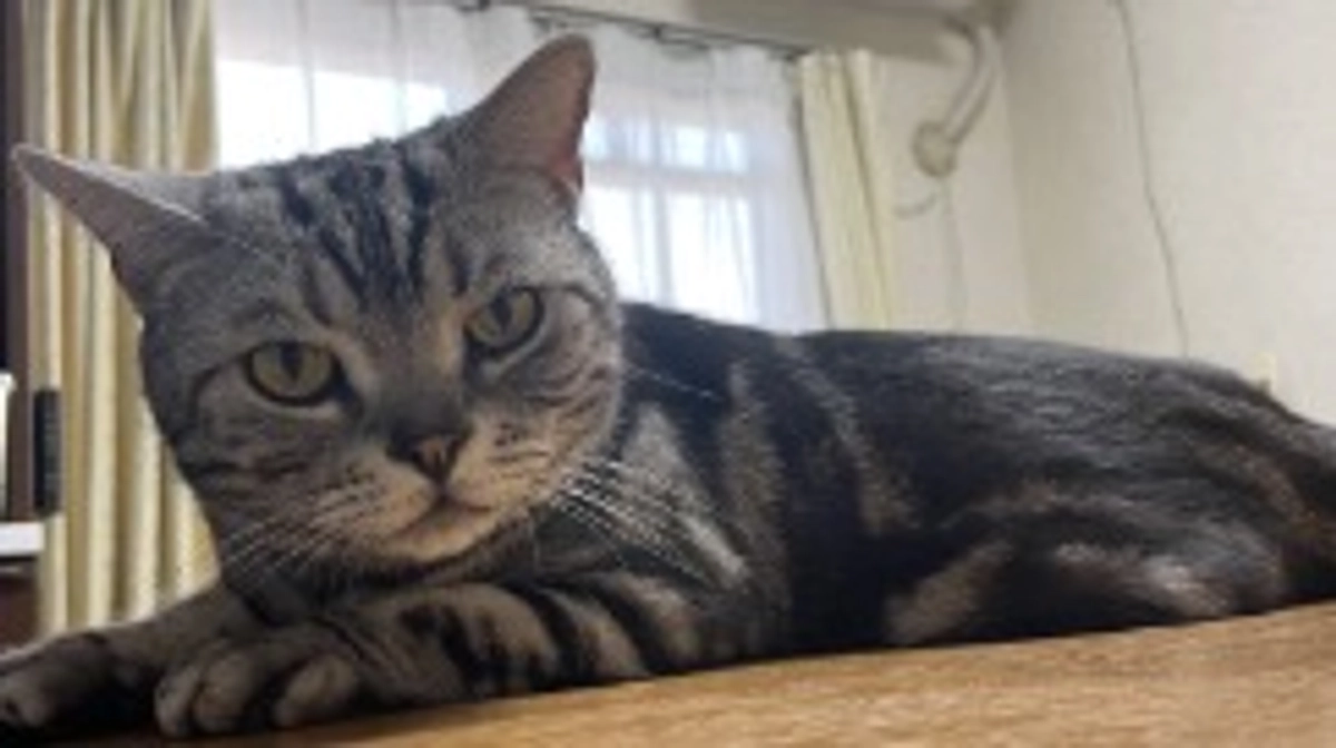 本日の銀時(経過観察25日目)