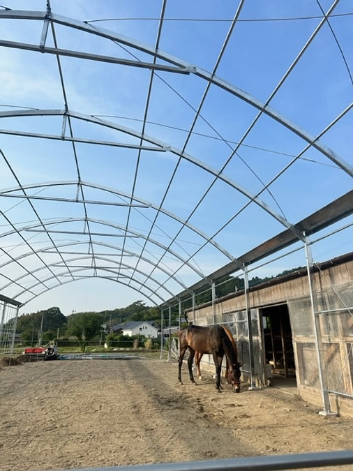 スタートダッシュの5日間‼️