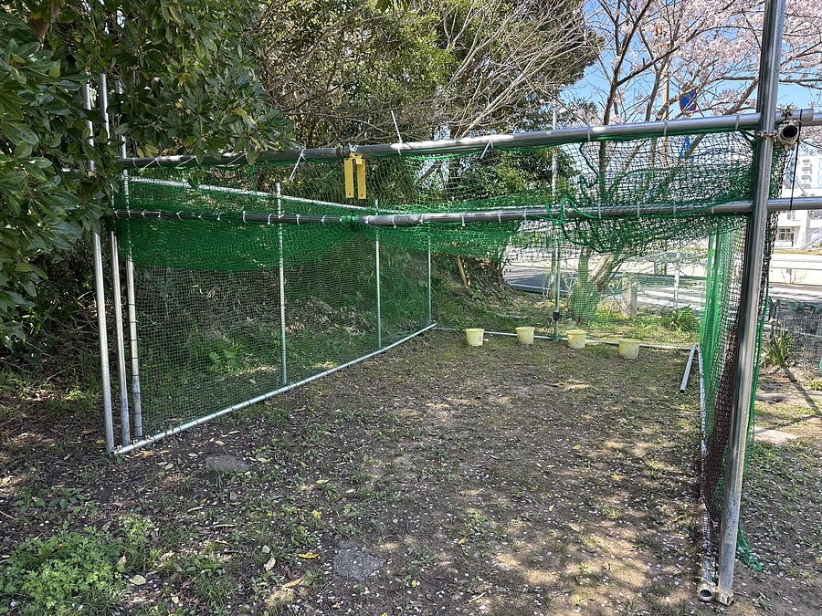 クラウドファンディング終了まで残り2日！！ 　どうしたら家無き犬猫を救えるのか？