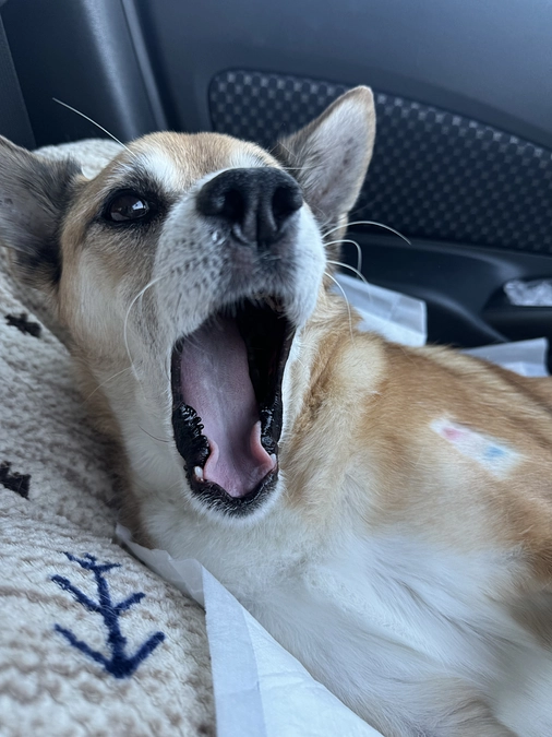 12/3 ☢️放射線治療2回目☢️