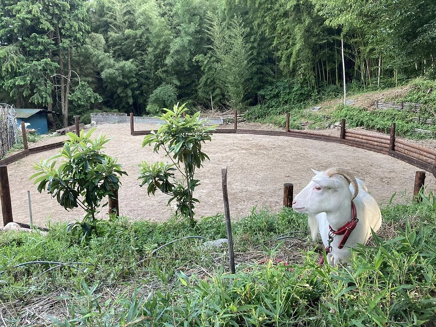 プロジェクトメンバーの紹介〜その1。穂苅佐一郎さん