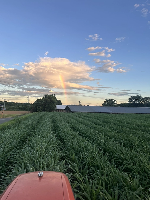 ネクストゴール500万円への挑戦