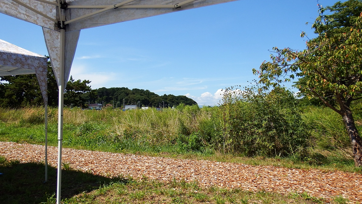 癒しの遊歩道　テレビ北海道で紹介されました！