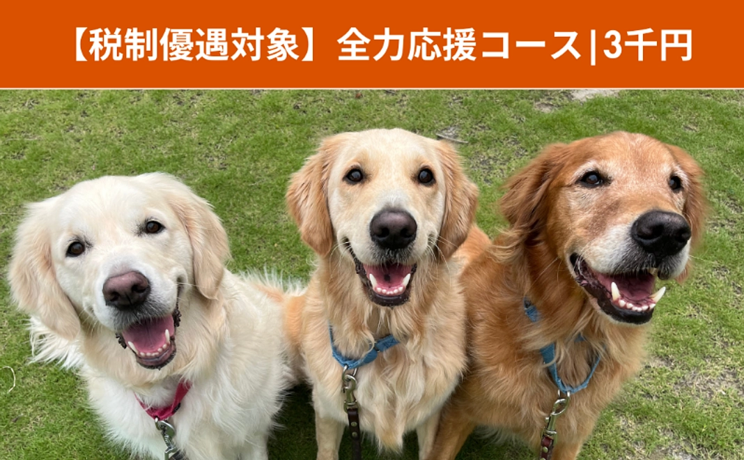 【税制優遇対象】全力応援コース|3千円（6/16追加）