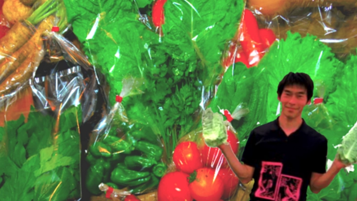 土を使わずに育てる水耕栽培の魅力を、たくさんの方に伝えたい！