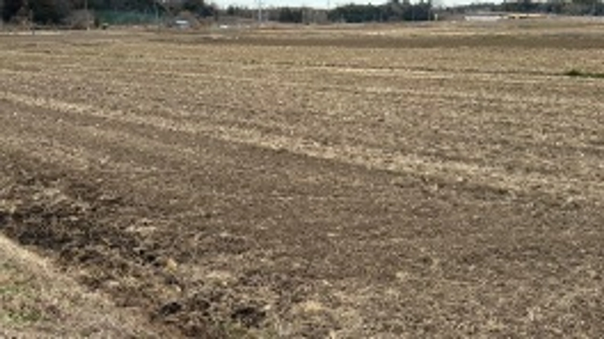 二十四節気 立春、七十二候 東風解凍(はるかぜこおりをとく)