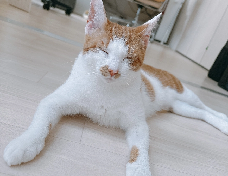 プロジェクト達成いたしました！